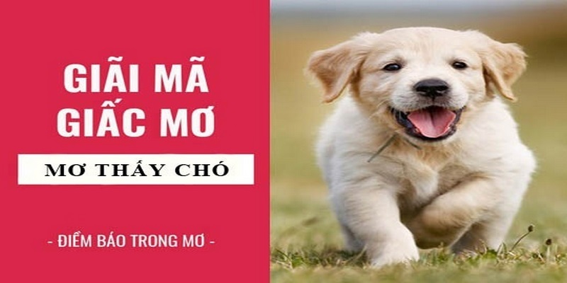 Nằm mơ thấy chó đánh con gì? Thể hiện điều gì?