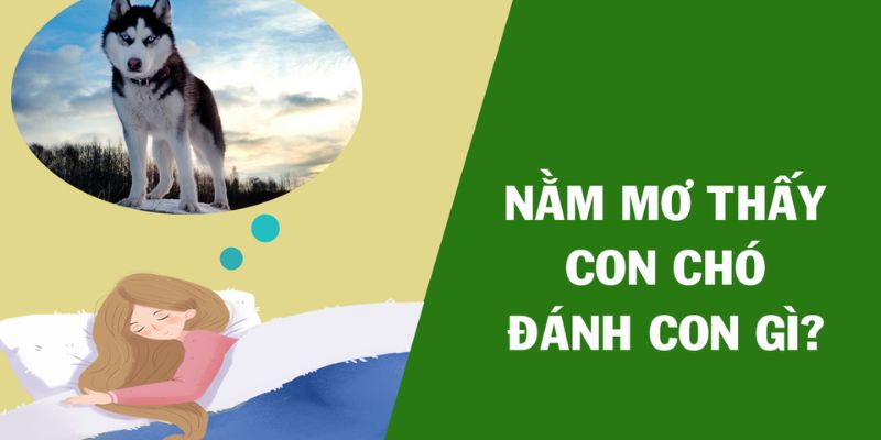 Mơ thấy chó đánh con gì giúp trúng lớn?