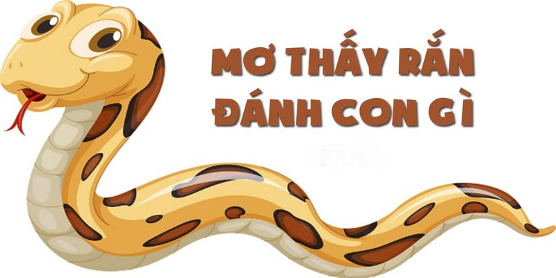 Mộng gặp rắn hổ mang