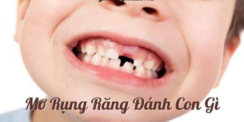 Giải mã mơ thấy răng rụng mang đến điềm báo gì?