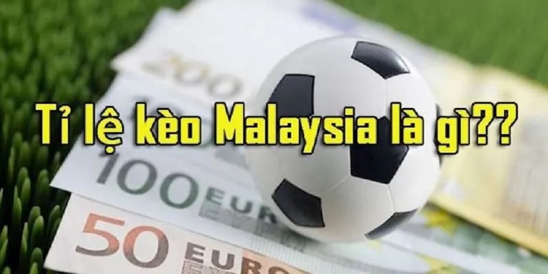 Hướng dẫn xem tỷ lệ kèo Malaysia chuẩn cho người mới