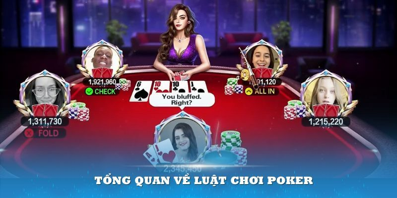Cách chơi bài poker dễ thắng nhờ mẹo hay từ cao thủ