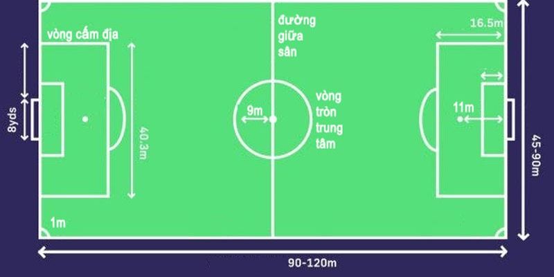 Các Vị Trí Trong Bóng Đá 11 Người & Vai Trò Chi Tiết