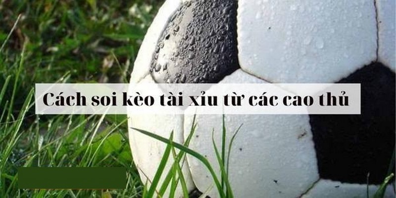 Bật mí kinh nghiệm soi kèo tài xỉu cực hay