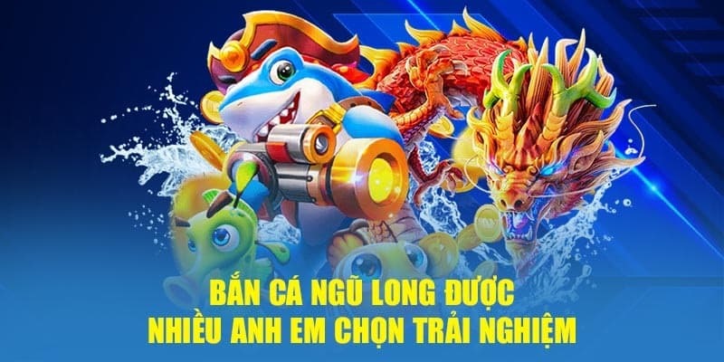 Sức hút nổi bật của bắn cá ngũ long