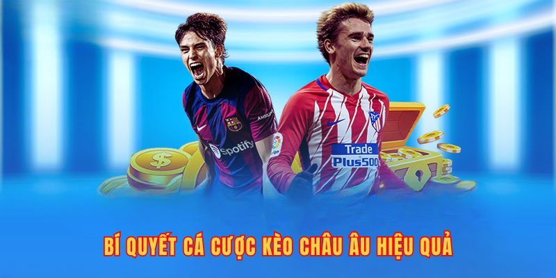 Kinh nghiệm chơi kèo 1X2 đỉnh của chóp