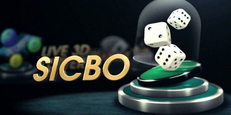 Sicbo Tài Xỉu 123win - Trải Nghiệm Cá Cược Đỉnh Cao 2025