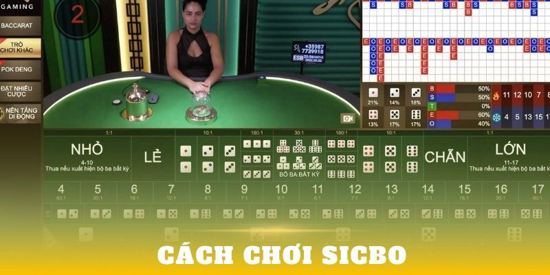 Tuyệt chiêu cá cược sicbo thắng đậm
