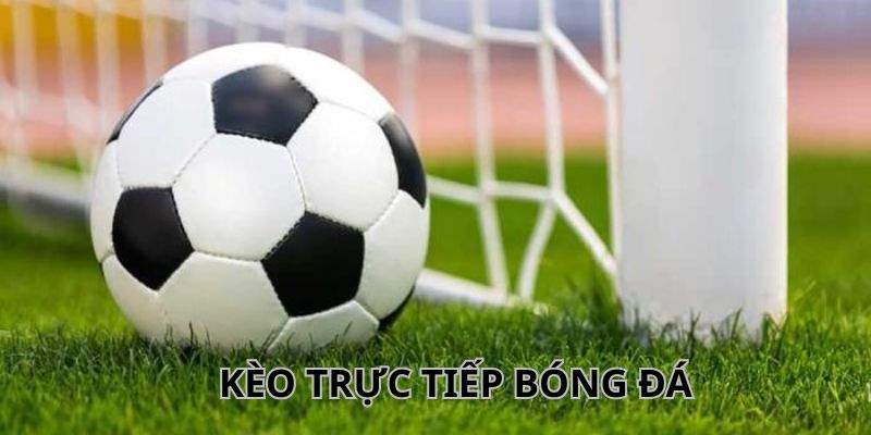 Chiến thuật đặt cược kèo trực tiếp hiệu quả