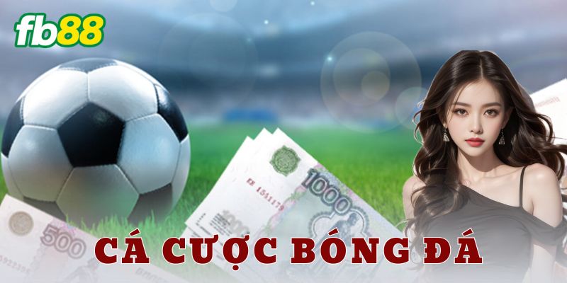 Các chiến lược cá cược bóng đá hiệu quả