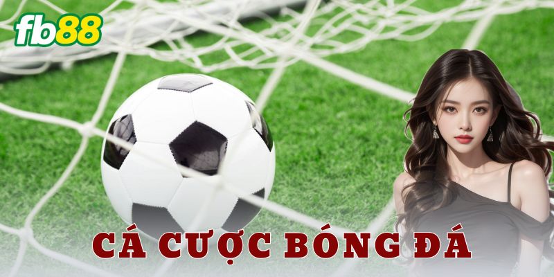 Các loại hình cá cược bóng đá phổ biến
