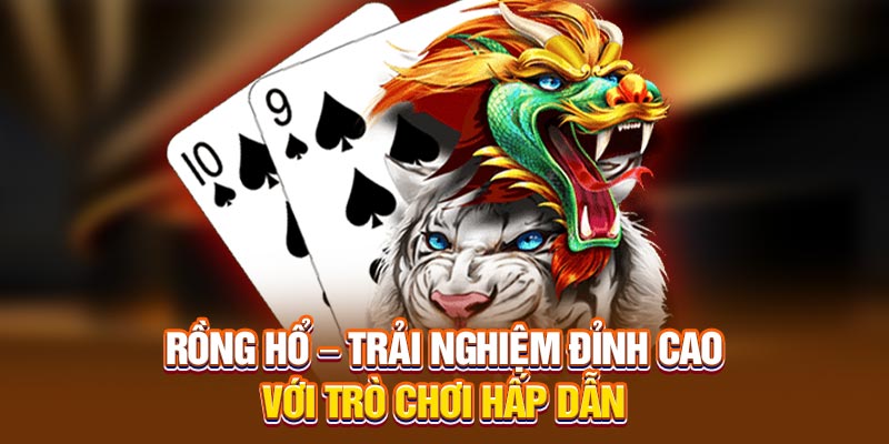 Giới thiệu về rồng hổ