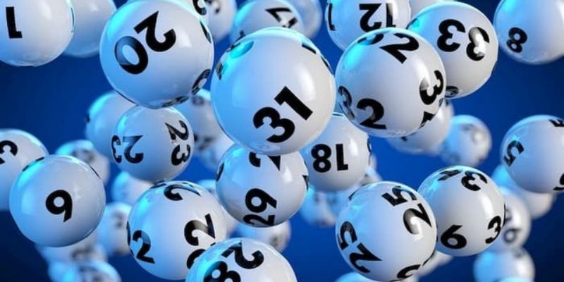 Tổng hợp tips bao lô luôn thắng siêu dễ cho newbie