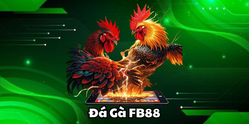 Các loại kèo Đá Gà FB88