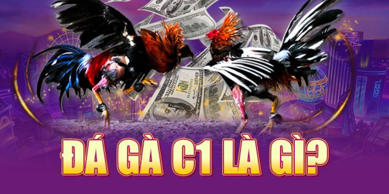 Những lợi thế khi tham gia đá gà C1