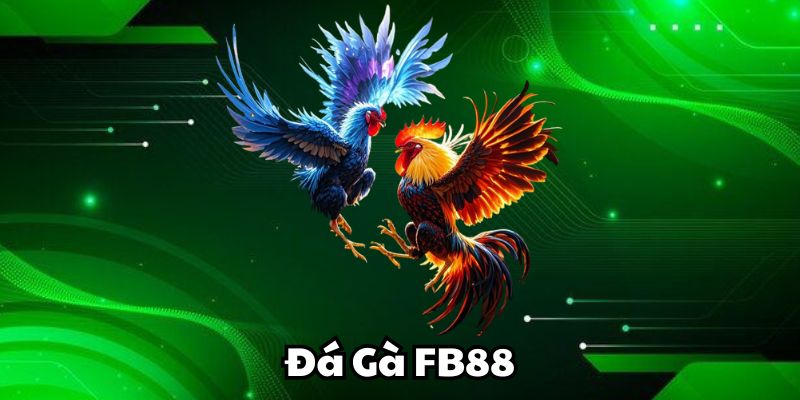 Trận đấu Đá Gà FB88 livestream hấp dẫn