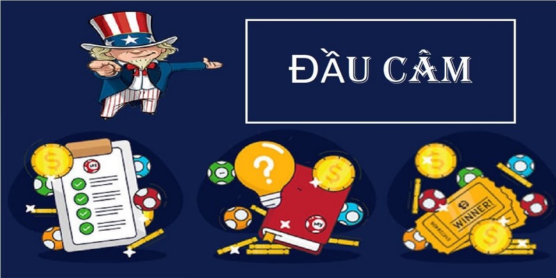 Tìm hiểu lô đầu câm