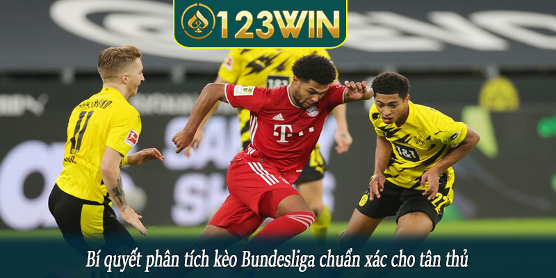 Bí quyết phân tích kèo Bundesliga chuẩn xác cho tân thủ