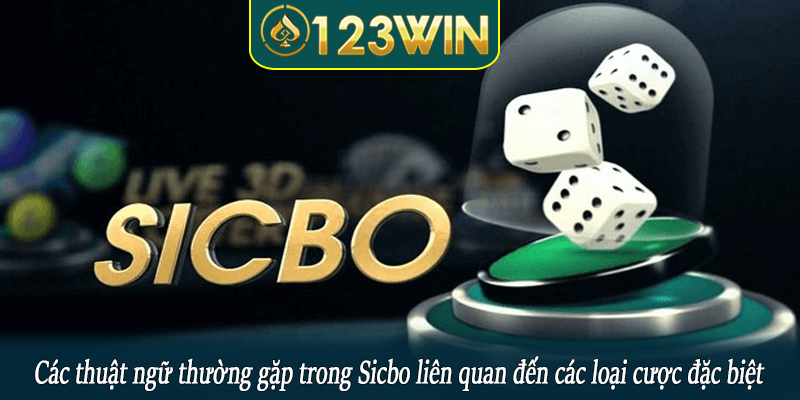 Các thuật ngữ thường gặp trong Sicbo liên quan đến các loại cược đặc biệt