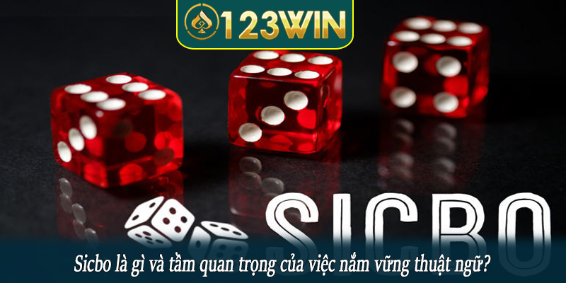 Sicbo là gì và tầm quan trọng của việc nắm vững thuật ngữ?
