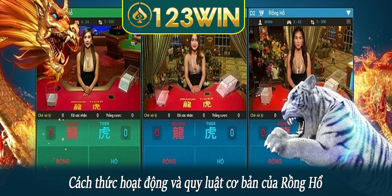 Cách thức hoạt động và quy luật cơ bản của Rồng Hổ